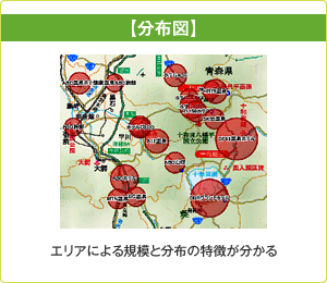 エリアによる規模と分布の特徴が分かる分布図